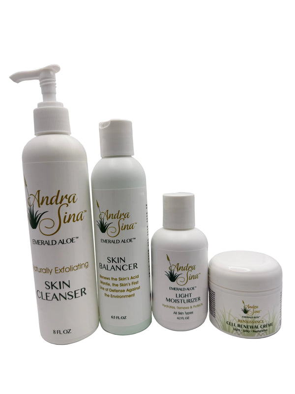 Executive Skincare - Elevate Your Daily Skincare Routine - Andra