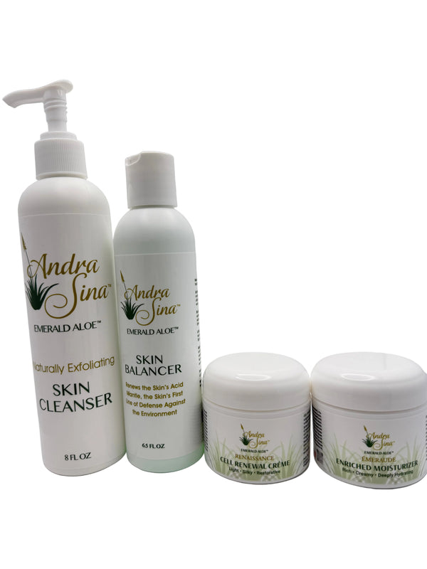 Executive Skincare - Elevate Your Daily Skincare Routine - Andra